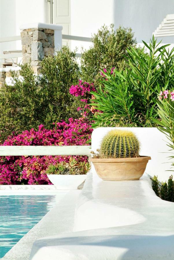 Paolas Sunset Agios Stefanos  Ngoại thất bức ảnh